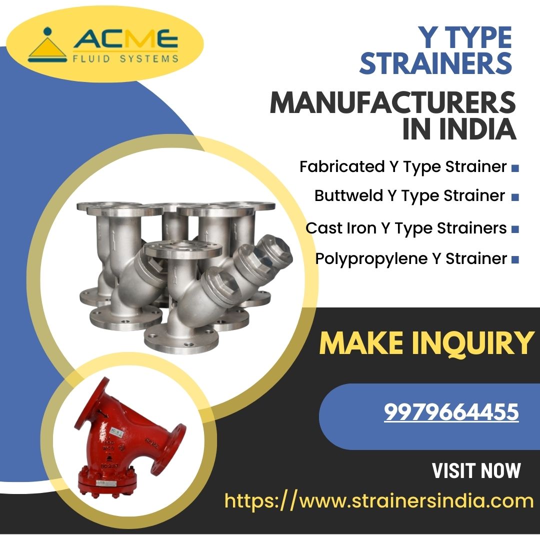 Comprehensive Guide to Understanding and Utilizing Y-Type Strainers